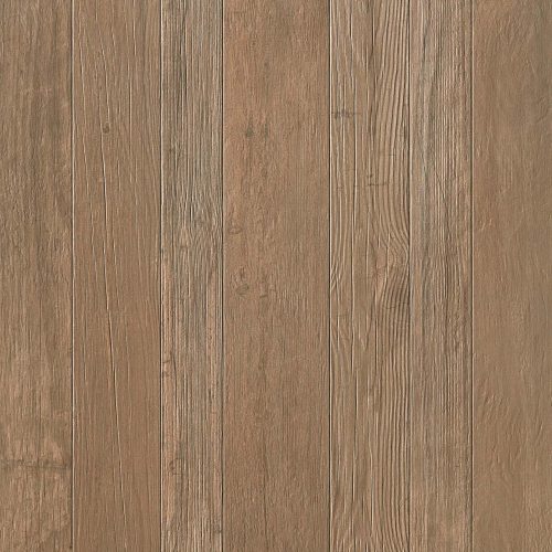 Axi Brown Chestnut